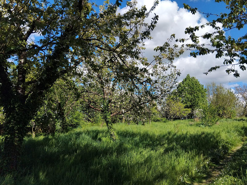 Maison - 76 m² - 4 pièces