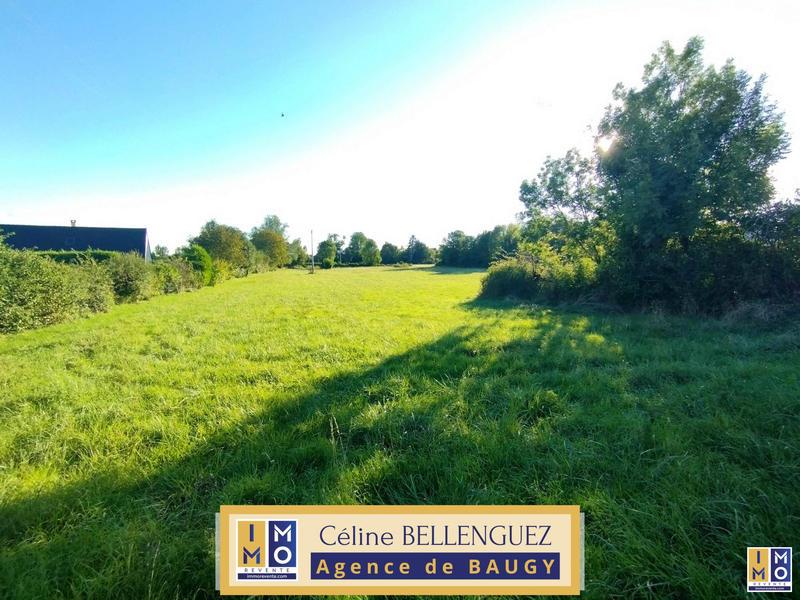 Terrain - 10 125 m²