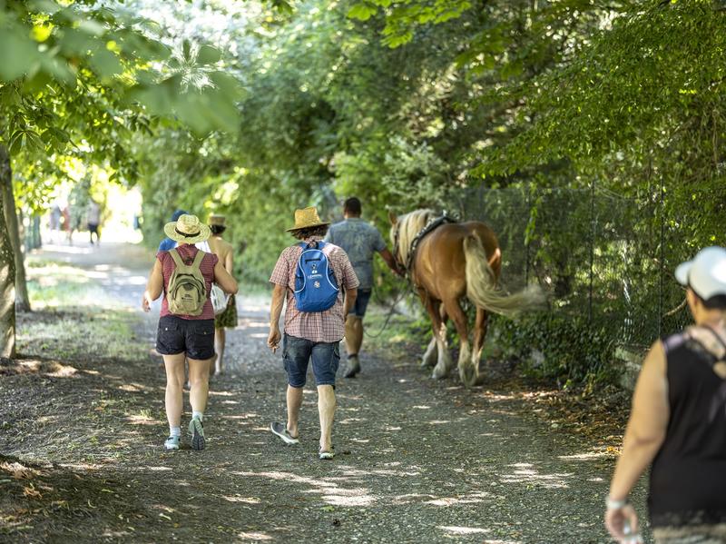 2ème randonnée gourmande boerschoise