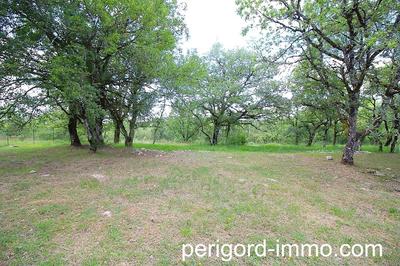 Maison traditionnelle - 145 m² - 7 pièces