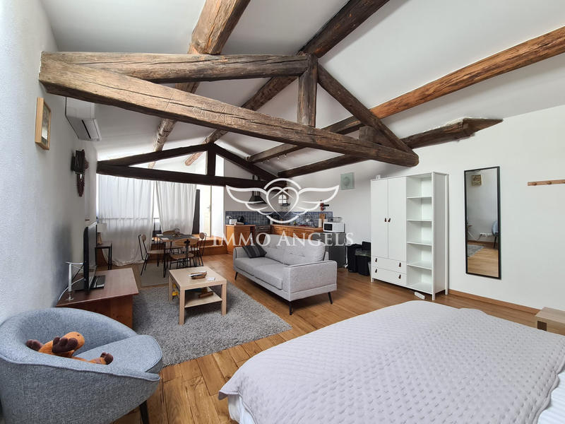 Mas - 896 m² - 29 pièces