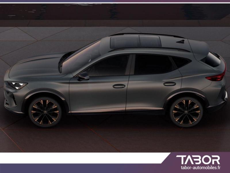 Cupra Formentor 2.0 Tdi 150 Dsg Led Pdc DigCo