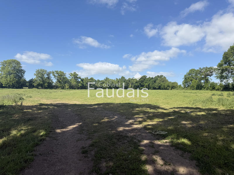 Propriété - 240 m² - 8 pièces