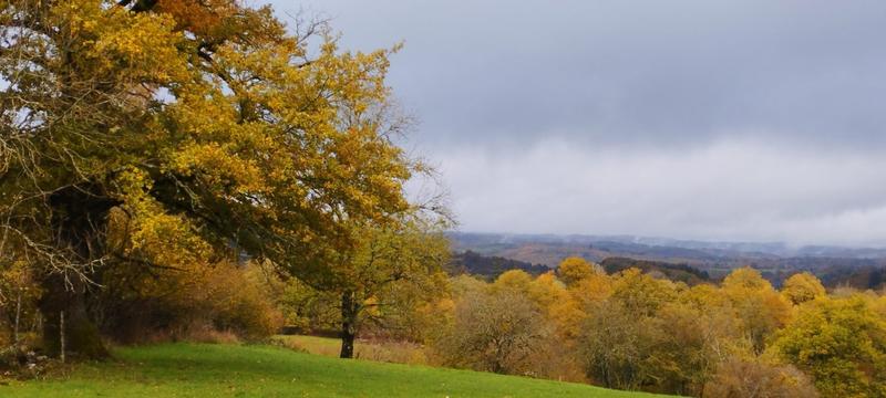 Maison - 120 m² - 1 pièce