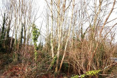 Terrain de loisirs - 4 273 m²