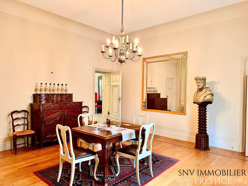 Château - 876 m² - 18 pièces