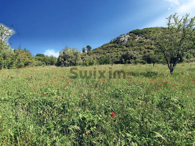 Terrain de loisirs - 3 970 m²
