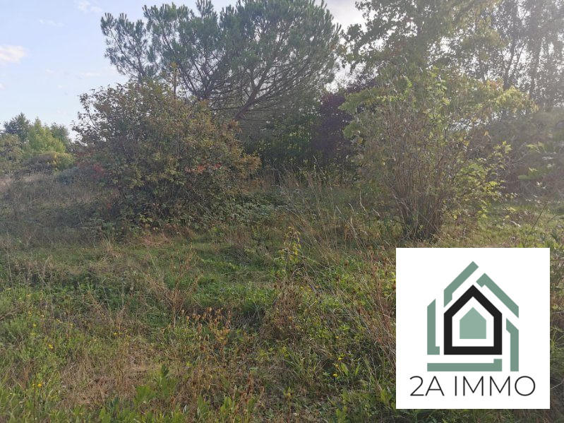 Terrain - 2 881 m²