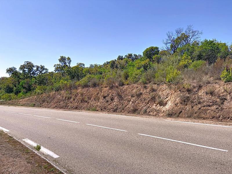 Terrain constructible - 5 000 m²