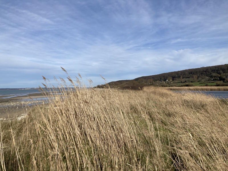 Pêche à pied naturaliste