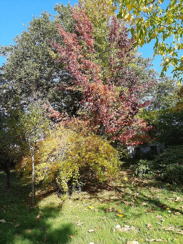 Maison de campagne - 102 m² - 8 pièces