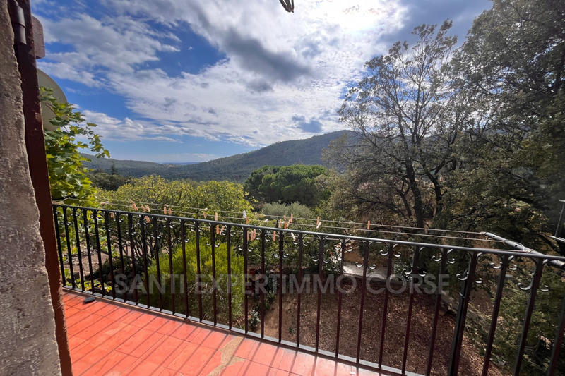 Appartement - 25 m² - 2 pièces