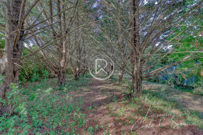 Maison - 150 m² - 4 pièces