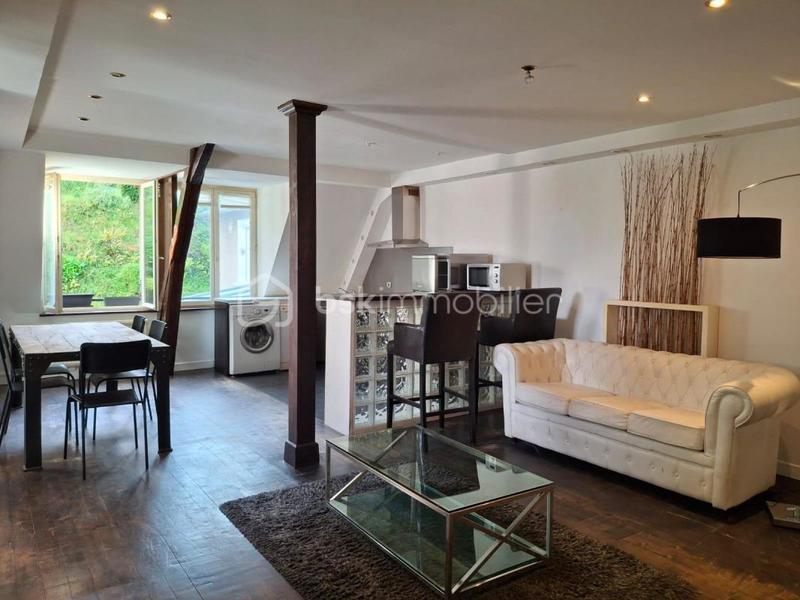 Loft - 65 m² - 3 pièces