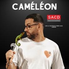 Louis Bonhoure - Caméléon