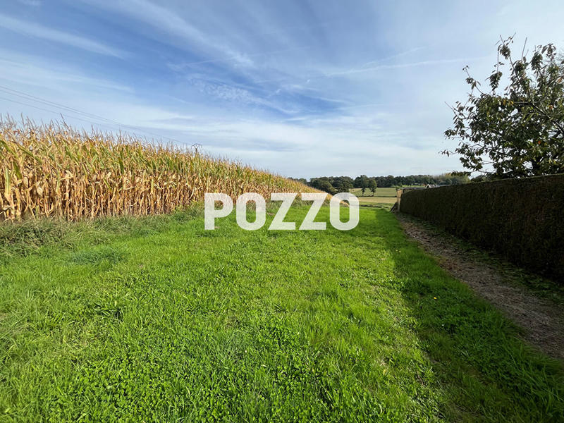 Terrain - 17 195 m²