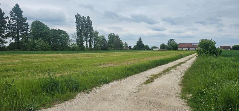 Terrain constructible - 4 026 m²