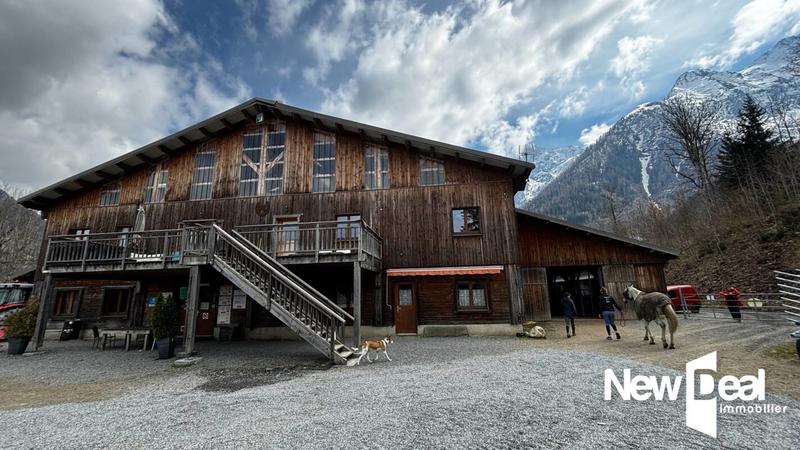 Maison de domaine équestre - 250 m² - 10 pièces