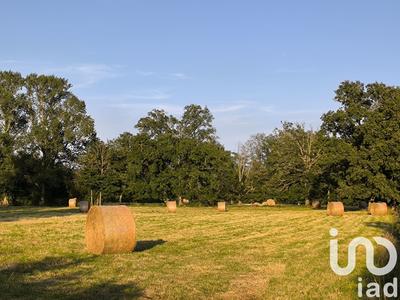 Terrain agricole - 50 921 m²