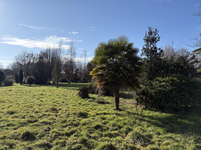 Maison - 398 m² - 11 pièces