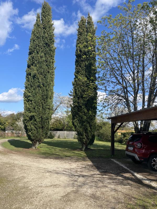 Maison ancienne - 90 m² - 6 pièces