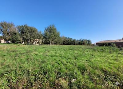 Terrain - 1 100 m²