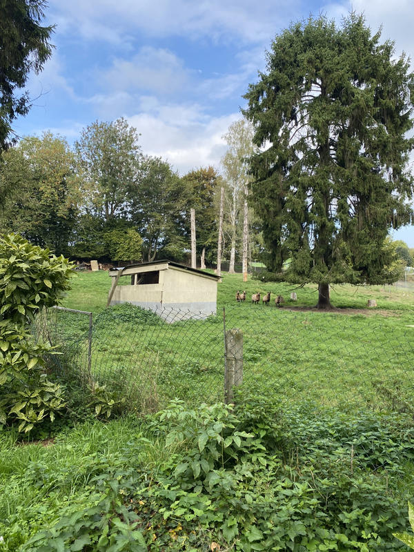 Maison - 200 m² - 7 pièces