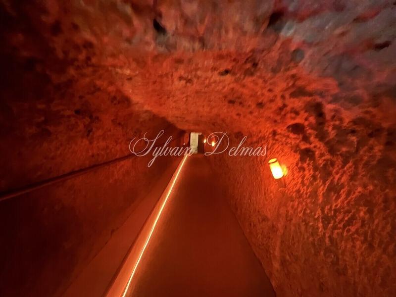 Propriété - 558 m² - 14 pièces