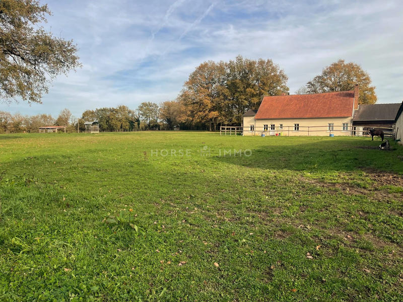 Maison - 134 m² - 3 pièces