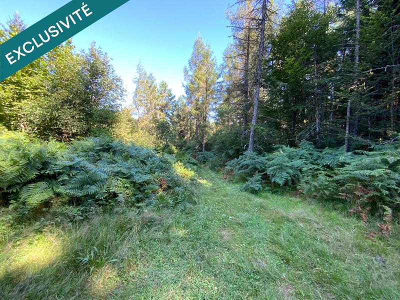 Terrain - 15 821 m²