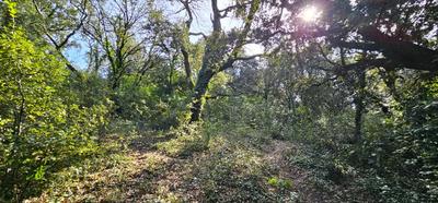 Terrain constructible - 1 309 m²