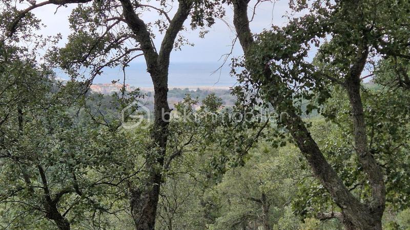 Terrain agricole - 56 090 m²