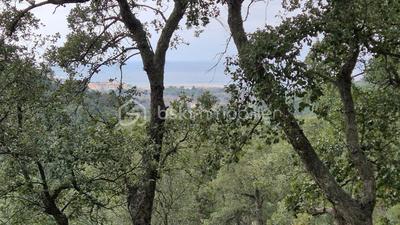 Terrain agricole - 56 090 m²