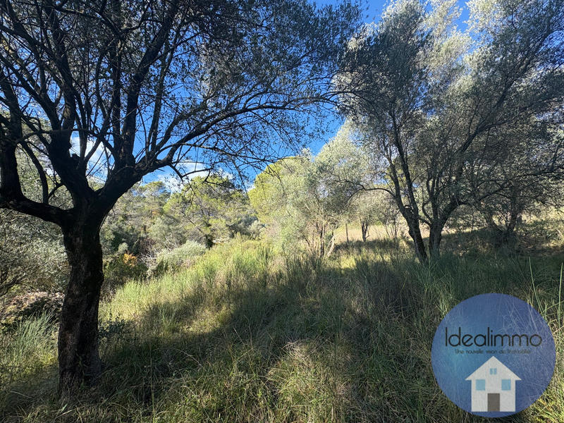 Terrain de loisirs - 20 000 m²