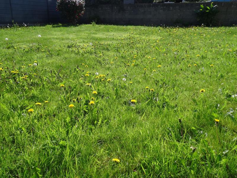 Maison - 85 m² - 6 pièces