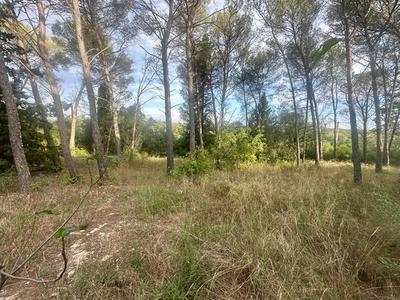 Terrain constructible - 1 041 m²