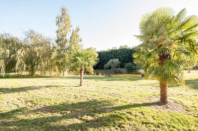 Maison - 306 m² - 7 pièces