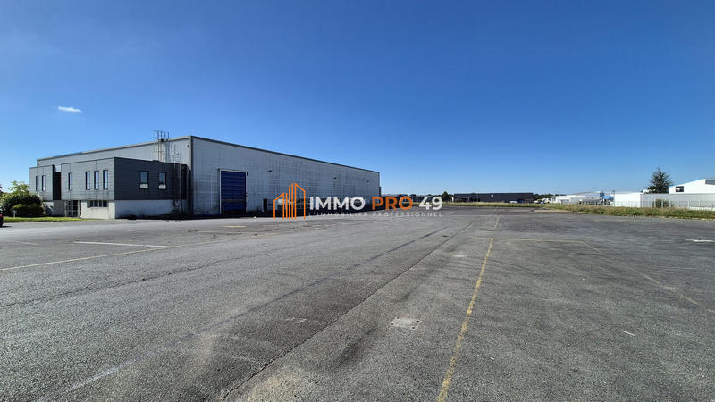 Local d'activités - 3 800 m²