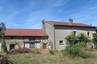 Maison en pierre - 195 m² - 9 pièces