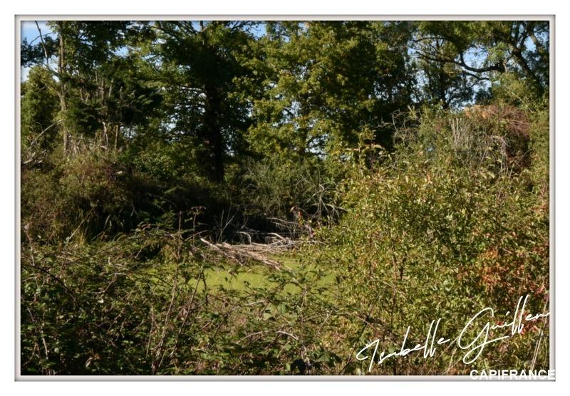 Longère - 170 m² - 6 pièces