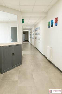 Bureau - 280 m²