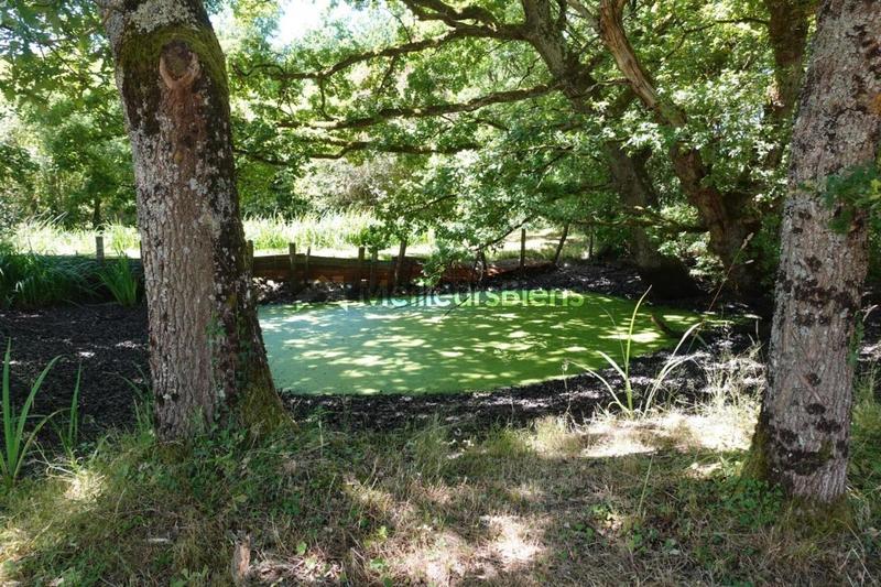 Maison de campagne - 203 m² - 7 pièces