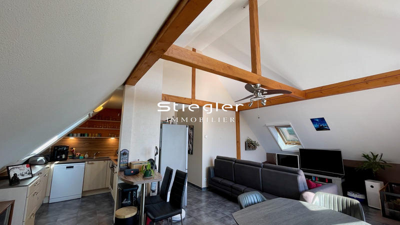 Appartement - 51 m² - 2 pièces