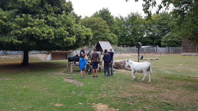 Petit déj' aux Cytises