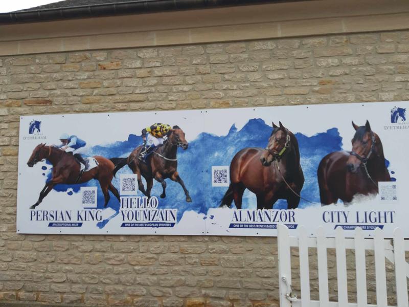 Balade en attelage "De la terre au pur-sang : balade au cœur de l’agriculture normande, au rythme des chevaux"