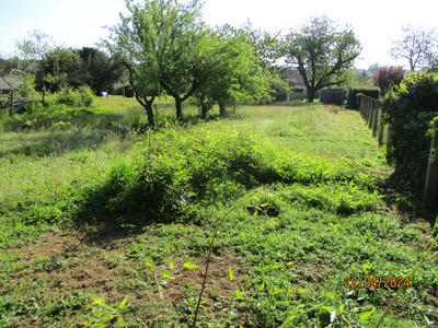 Terrain - 750 m²