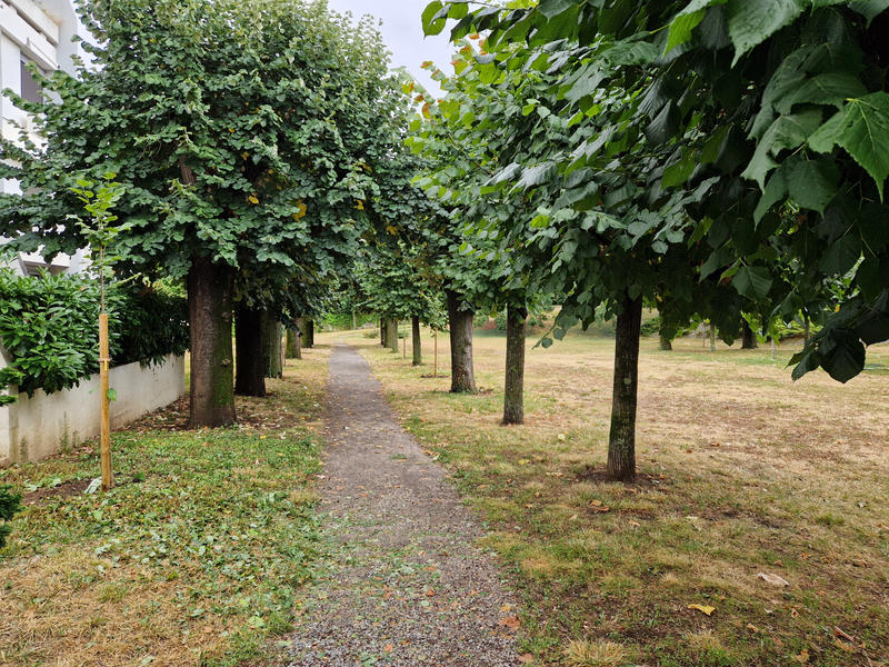 Appartement - 51 m² - 2 pièces