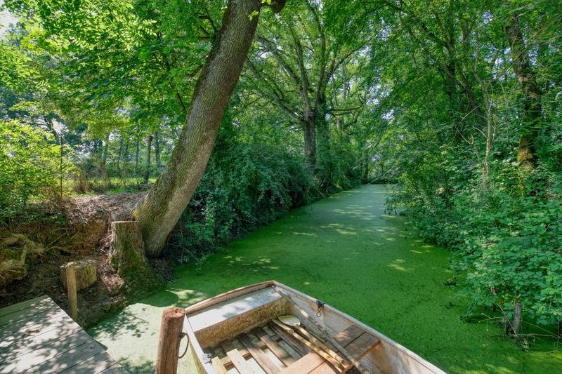 Maison - 226 m² - 9 pièces