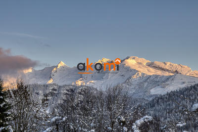 Châlet - 387 m² - 14 pièces