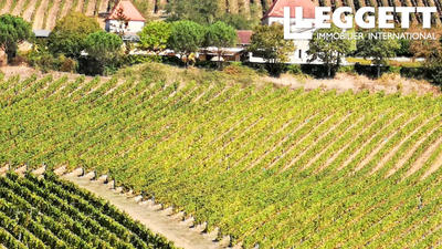 Propriété - 370 m² - 10 pièces